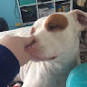 Meet your Posher, Star